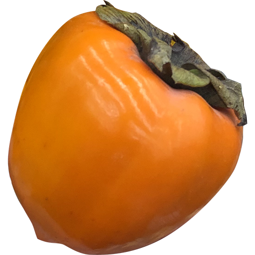 Persimmon