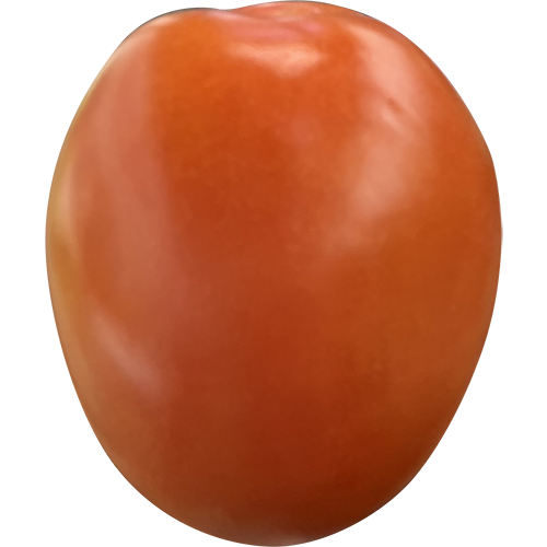 Plum Tomato