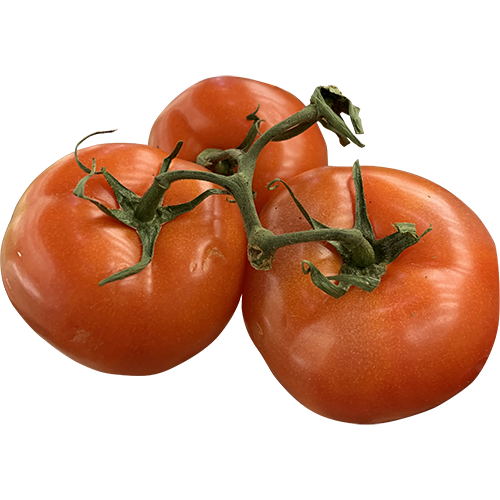 Stem Tomato